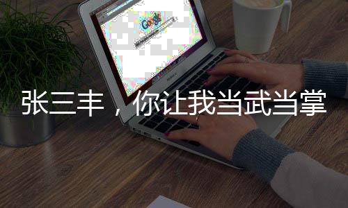 张三丰，你让我当武当掌门？