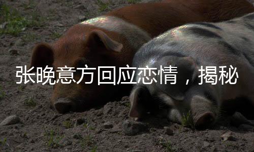 张晚意方回应恋情，揭秘背后的故事