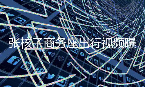 张核子商务座出行视频曝光，公众聚焦出行特权与公正议题