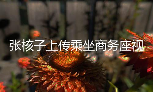 张核子上传乘坐商务座视频，公众热议与反思的焦点