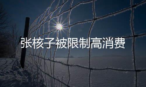张核子被限制高消费