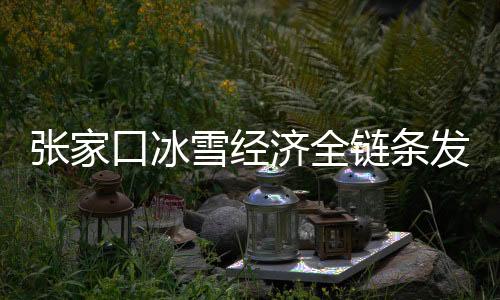 张家口冰雪经济全链条发展  冬奥场馆利用成效显著
