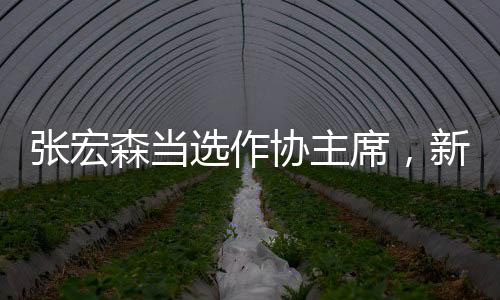 张宏森当选作协主席，新任领导展望文学未来