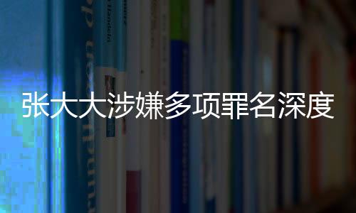 张大大涉嫌多项罪名深度调查