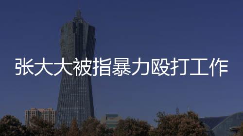 张大大被指暴力殴打工作人员，事件深度调查