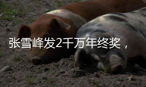 张雪峰发2千万年终奖，传奇企业家的慷慨激励与员工福音