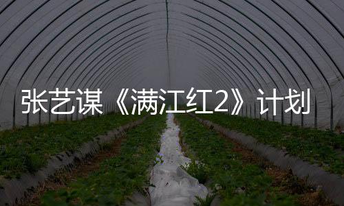 张艺谋《满江红2》计划下半年开拍 明年上映