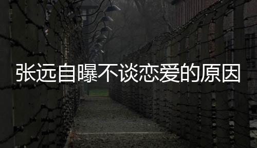 张远自曝不谈恋爱的原因，探究背后的深层心理与选择