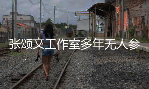 张颂文工作室多年无人参保，背后原因引人深思