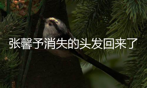 张馨予消失的头发回来了，揭秘明星护发秘籍与新生奇迹
