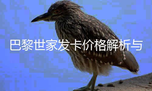 巴黎世家发卡价格解析与义乌市场价格调研
