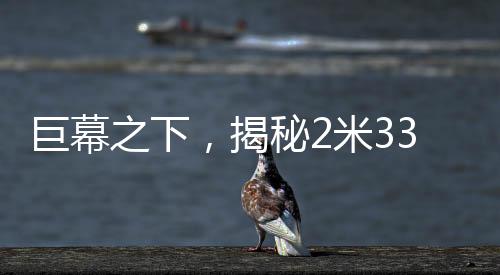 巨幕之下，揭秘2米33巨人演员的日常——睡3米床穿59码鞋