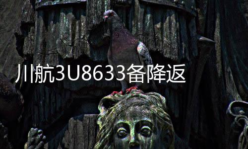 川航3U8633备降返航事件全程回顾与解析