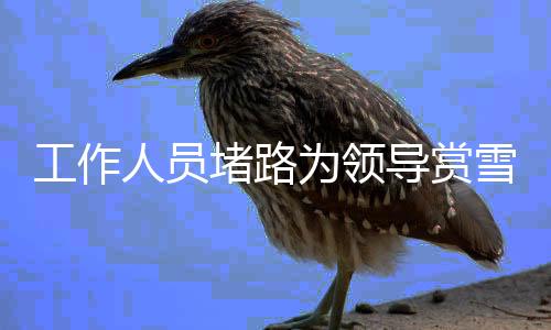 工作人员堵路为领导赏雪引发争议，官方回应