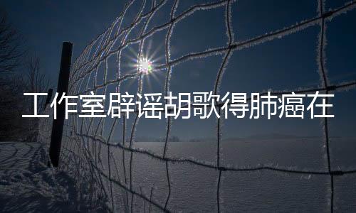 工作室辟谣胡歌得肺癌在北京住院，真相揭秘与公众关切并重