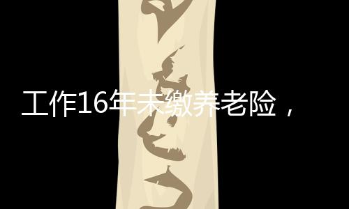 工作16年未缴养老险，劳动者的权益与未来的保障