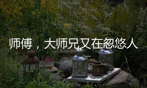 师傅，大师兄又在忽悠人了