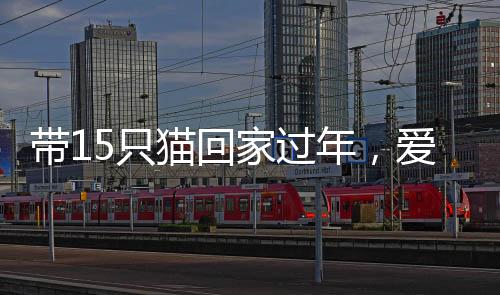 带15只猫回家过年，爱心满满的温暖旅程