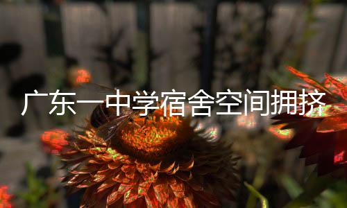 广东一中学宿舍空间拥挤问题引热议，37平米宿舍住进14名学生