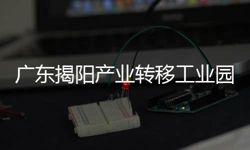 广东揭阳产业转移工业园党工委委员陈灿阳接受审查调查