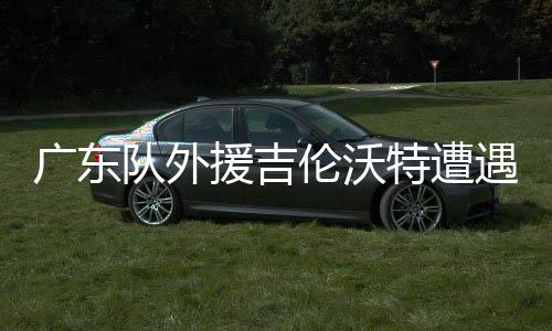 广东队外援吉伦沃特遭遇处罚，停赛一场并罚款五万
