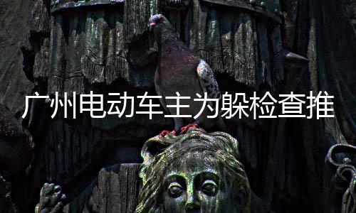 广州电动车主为躲检查推隔离墩逃离，事件背后引发深思