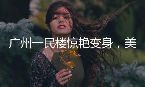 广州一民楼惊艳变身，美景如画提米拉米苏