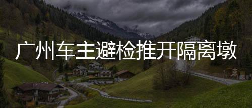广州车主避检推开隔离墩引发关注——公众安全意识与应对策略探讨