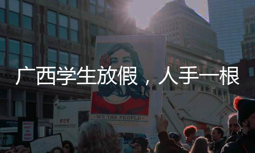 广西学生放假，人手一根比人高的甘蔗，欢庆丰收季节
