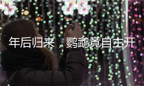 年后归来，鹦鹉竟自主开笼拆家，主人惊叹不已