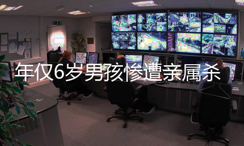 年仅6岁男孩惨遭亲属杀害事件引起社会关注与反思