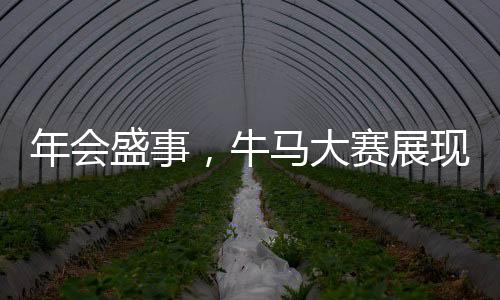 年会盛事，牛马大赛展现独特魅力，欢乐氛围点燃全场热情
