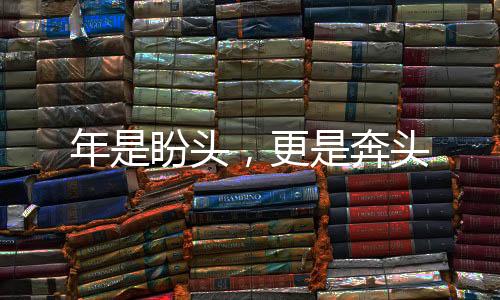 年是盼头，更是奔头