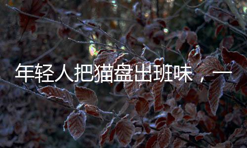 年轻人把猫盘出班味，一种新型文化现象的观察与解读