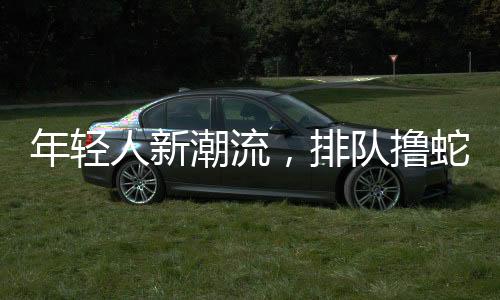 年轻人新潮流，排队撸蛇现象揭秘