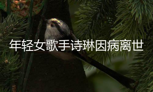年轻女歌手诗琳因病离世，令人惋惜