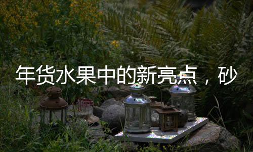 年货水果中的新亮点，砂糖桔并非C位