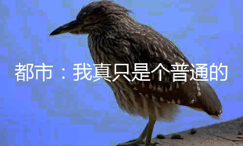 都市：我真只是个普通的外卖小哥