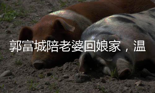 郭富城陪老婆回娘家，温馨一幕，见人即发红包