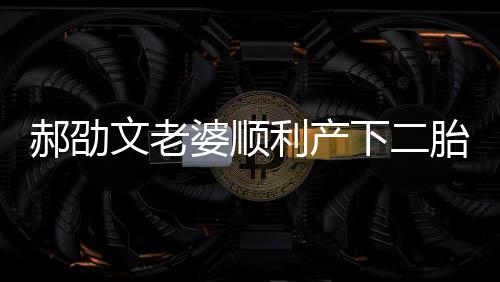郝劭文老婆顺利产下二胎，家庭迎来新成员喜讯