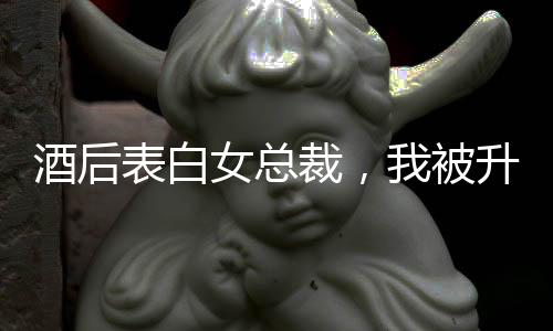 酒后表白女总裁，我被升职了