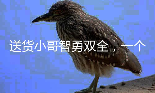 送货小哥智勇双全，一个月两次识破现金骗局，赢得社会赞誉