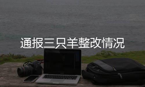 通报三只羊整改情况