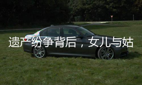 遗产纷争背后，女儿与姑姑们的遗产分配之路