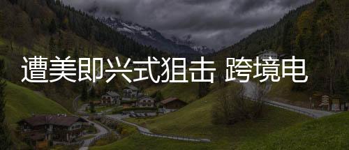 遭美即兴式狙击 跨境电商找到B计划