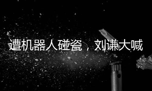 遭机器人碰瓷，刘谦大喊不是我干的
