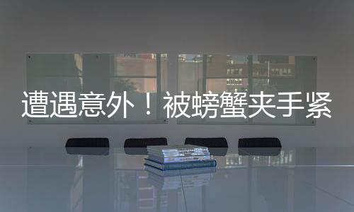 遭遇意外！被螃蟹夹手紧急求助，消防部门迅速响应