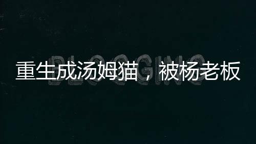 重生成汤姆猫，被杨老板直播曝光