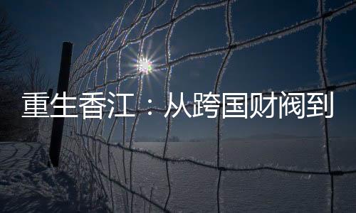 重生香江：从跨国财阀到民企之光