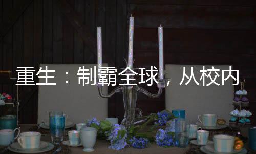 重生：制霸全球，从校内网开始